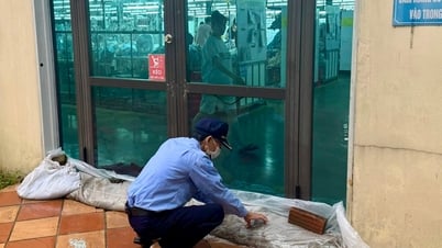 Doanh nghiệp Hải Phòng chủ động phòng chống bão