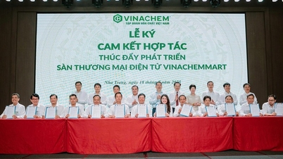 Vinachem bứt phá mạnh mẽ, kiên định hoàn thành mục tiêu tăng trưởng