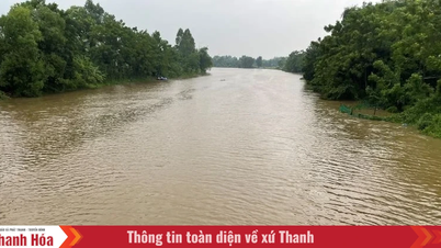 Lũ trên sông Yên khả năng đạt báo động 1 vào trưa nay (22/7)
