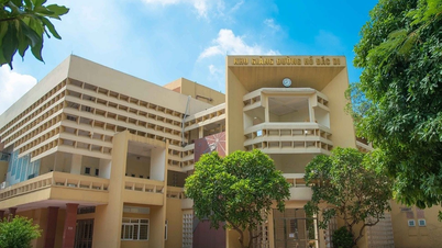 Điểm sàn năm 2025 khối Y, Dược từ 17 đến 20,5 điểm, giảm 2 điểm so với năm trước