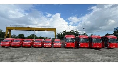 Hơn 5.000 lượt cán bộ công chức được đưa đón miễn phí đến TPHCM làm việc