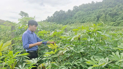 Truyền thông giảm nghèo ở xã Tuyên Lâm: “Mưa dầm thấm đất”