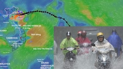Bão số 3 Wipha sắp đổ bộ, dự báo thời gian gây mưa to gió mạnh nhất