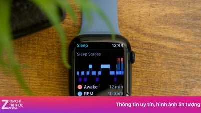 Lợi ích khi ngủ sớm