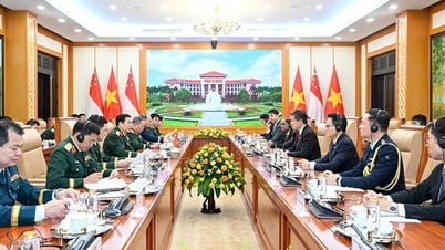 Quân đội Việt Nam và Singapore tăng cường hợp tác tin cậy, toàn diện, thực chất