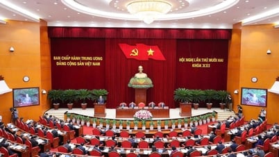 Xem xét bổ sung quy hoạch Trung ương, Ban Bí thư, Bộ Chính trị khóa XIV