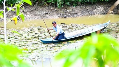 Đảng viên cao tuổi nêu gương