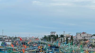 Các xã ven biển Lâm Đồng chủ động các phương án phòng chống bão số 3