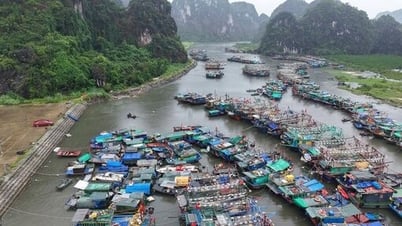 Thời tiết hôm nay 22/7: Bão số 3 đổ bộ, miền Bắc mưa rất to kèm gió dữ dội