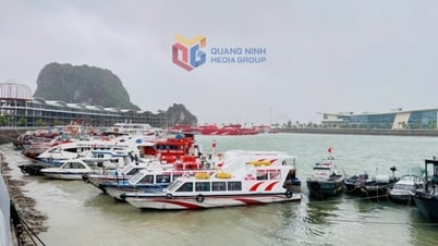 Bão số 3 đang gây gió rất mạnh ven biển Quảng Ninh, Hải Phòng