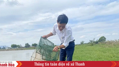 Nuôi trồng thủy sản theo hướng an toàn trong mùa mưa bão