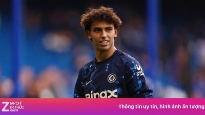 Felix khiến Chelsea lỗ nặng