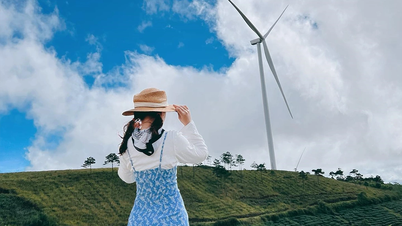 中部高原のユニークな風力発電所トップ5：ザライの旅行愛好家のための新しい目的地