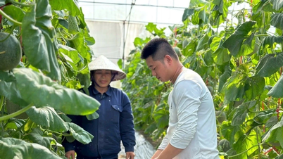 Phụ phẩm nông nghiệp: Làm sao khai thác hiệu quả?