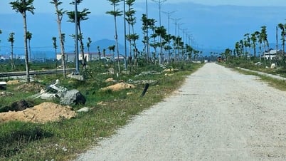 Hoàn thành công trình đường chợ Mai - Tân Mỹ trong tháng 7