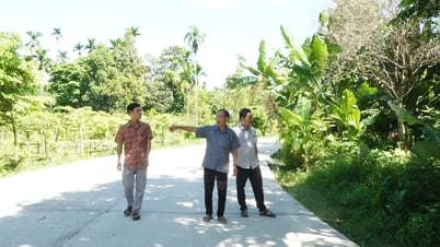 Chung sức vì quê hương