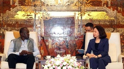 Chuyên gia di sản thế giới đánh giá cao công tác bảo tồn, phát huy giá trị Hoàng thành Thăng Long
