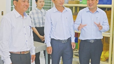 옥에오 문화를 세계에 알리기 위한 활동