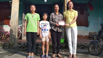 Đóa hoa nhân ái - kỳ diệu từ tình người