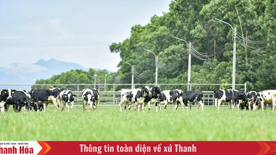 Vinamilk Green Farm Thanh Hóa - Phát triển trang trại xanh, nông nghiệp bền vững hướng đến mục tiêu Net Zero