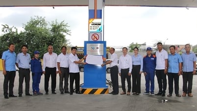 Petrolimex Đồng Tháp tổ chức gắn biển công trình chào mừng kỷ niệm 70 năm ngày thành lập Tập đoàn Xăng Dầu Việt Nam