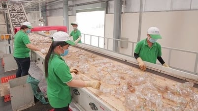 Doanh nghiệp gặp thách thức gì khi chuyển đổi xanh?