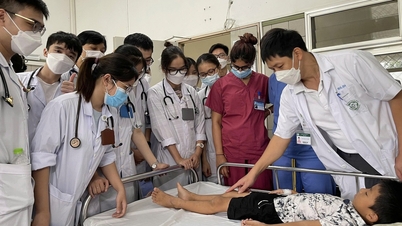 Điểm sàn nhiều ngành ở Trường ĐH Y dược VNU cao hơn mức của Bộ GD-ĐT