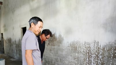 Phước Trà chăm lo an cư
