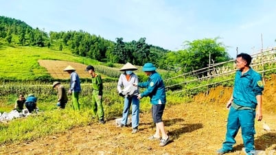 Mái ấm tròn vẹn nghĩa tình