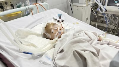 Tăng cường quản lý hoạt động nhóm trẻ độc lập trên địa bàn tỉnh Quảng Ngãi