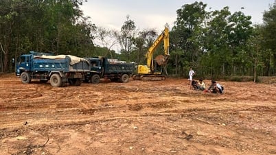 Bắt quả tang 3 đối tượng khai thác khoáng sản trái phép quy mô lớn tại Đặc khu Phú Quốc