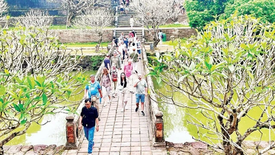 Đưa du lịch trở thành ngành kinh tế truyền cảm hứng
