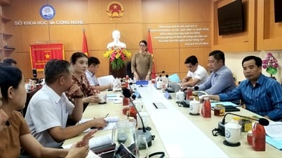 Khai thác giá trị dược liệu từ sâm Bố Chính tạo ra bộ nguyên liệu - sản phẩm - quà tặng sức khoẻ