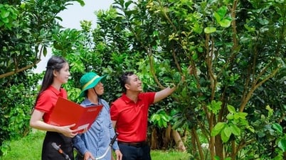 Agribank ưu đãi lớn, hỗ trợ chuyển đổi hộ kinh doanh thành doanh nghiệp