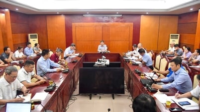 Chọn lực lượng tinh nhuệ cho mục tiêu vàng