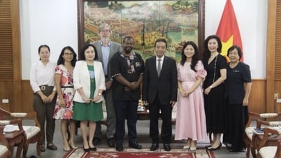 UNESCO sẵn sàng hỗ trợ Việt Nam trong bảo tồn, phát huy giá trị của di sản tư liệu