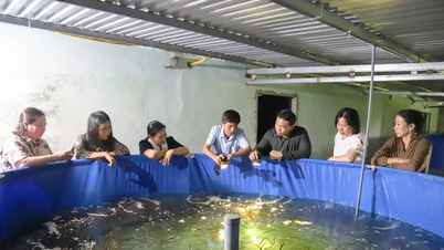 Tiếp tục triển khai hiệu quả các nhiệm vụ khoa học và công nghệ