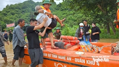 省軍司令部は船を派遣し、緊急患者を南西地域総合病院に搬送した。