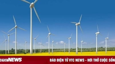 Thủ tướng chỉ đạo 9 địa phương gỡ vướng cho dự án điện năng lượng tái tạo