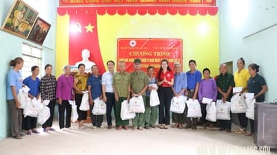 Hội Chữ thập đỏ tỉnh tặng 100 suất quà cho gia đình chính sách tại xã Nhất Hòa