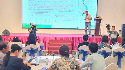 Chia sẻ kinh nghiệm thực hiện “Mô hình sản xuất lúa chất lượng cao giảm phát thải phục vụ Đề án phát triển bền vững một triệu héc-ta vùng ĐBSCL”