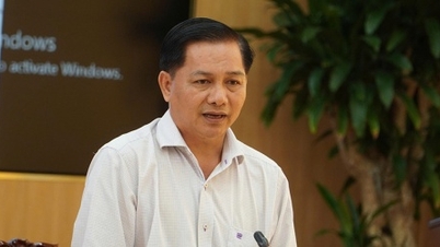 Nhiều dự án hàng trăm triệu USD sẵn sàng đầu tư vào VSIP Cần Thơ