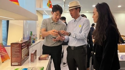 'Chắp cánh' hàng Việt tại thị trường Hàn Quốc