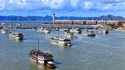 Sau bão, các đoàn tàu Quảng Ninh vươn khơi