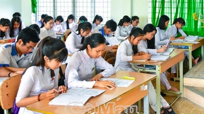 "Trái ngọt" gọi tên vùng đất khó