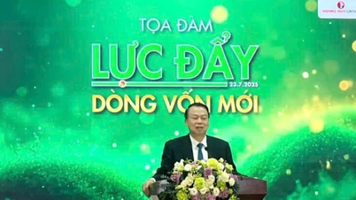 Giải mã động lực phát triển thị trường chứng khoán Việt Nam