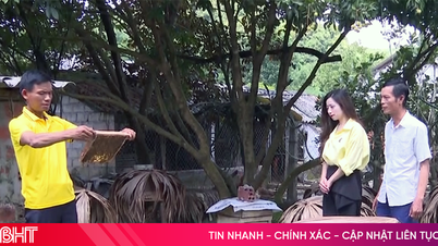 Mật ong Vũ Quang - nếm một lần là nhớ mãi