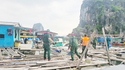 Quang Ninh responde con urgencia a la tormenta Wipha y pide a los barcos que se refugien