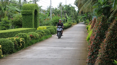 Nối dài những tuyến đường đẹp