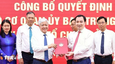 Thành lập Đảng bộ Cơ quan Ủy ban Trung ương Mặt trận Tổ quốc Việt Nam